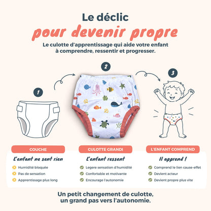 Veluni™  Potty Grandi